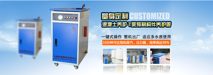 12-24kw混凝土養護小型蒸汽發生器