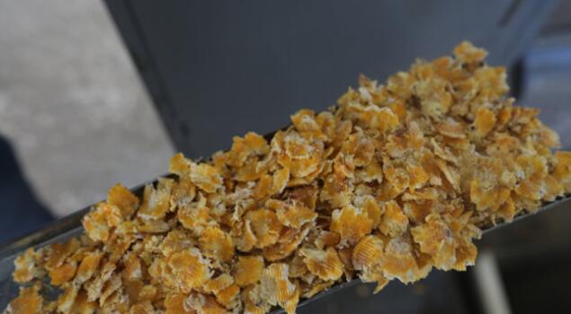 全自動燃油蒸汽發生器廠家