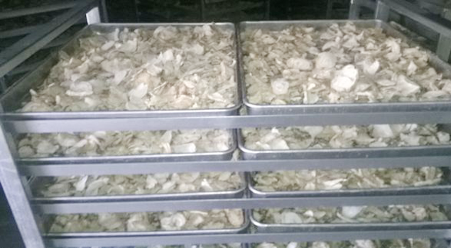 香菇烘幹蒸汽發生器