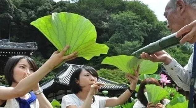 荷葉酒釀酒蒸汽發生器