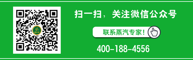 河北混凝土養護蒸汽發生器