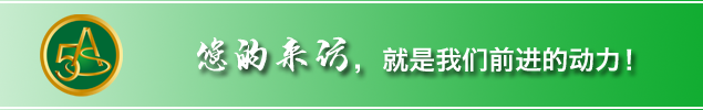 食品專用蒸汽發生器用於葡萄酒釀和管道滅菌消毒