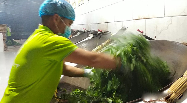 電氣化製茶成主流，蒸汽發生器讓製茶無煙化，實現零排放的環保目標